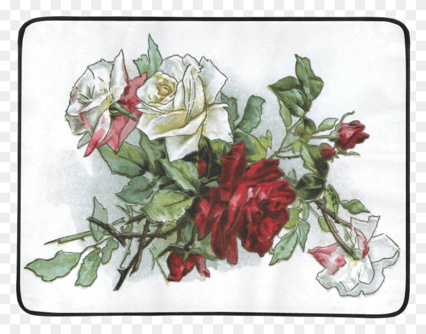 801x616 Винтажные Розы, Цветочный Дизайн, Узор, Графика Hd Png Скачать