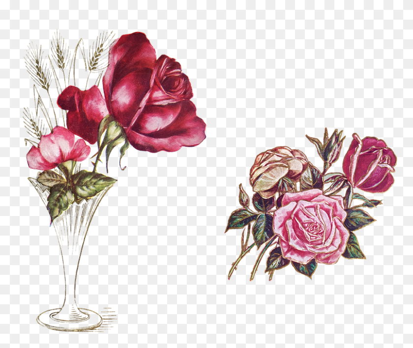 802x668 Vintage Roses Rose Flower Vase Flower Vase Grasses Vase, Plant, Blossom, Flower Arrangement HD PNG Download