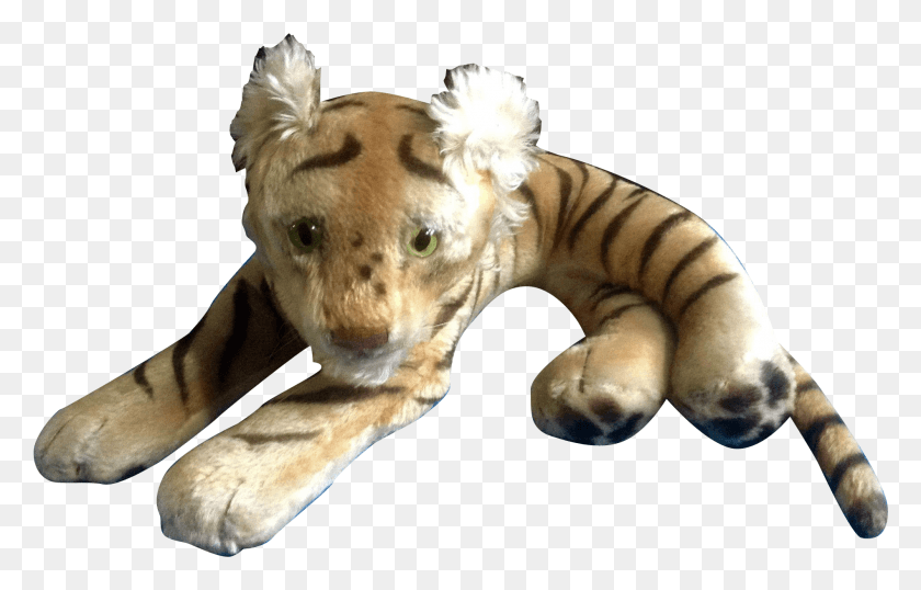 1897x1163 Descargar Png Steiff Tigre De Bengala 1952 1953 Peluche Grande De Peluche, Perro, Mascota, Canino Hd Png