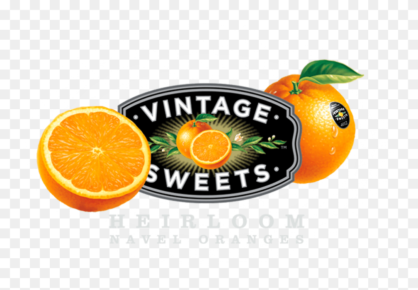 1010x679 Vintage Sweets Tangerine, Citrus Fruit, Fruit, Plant HD PNG Download