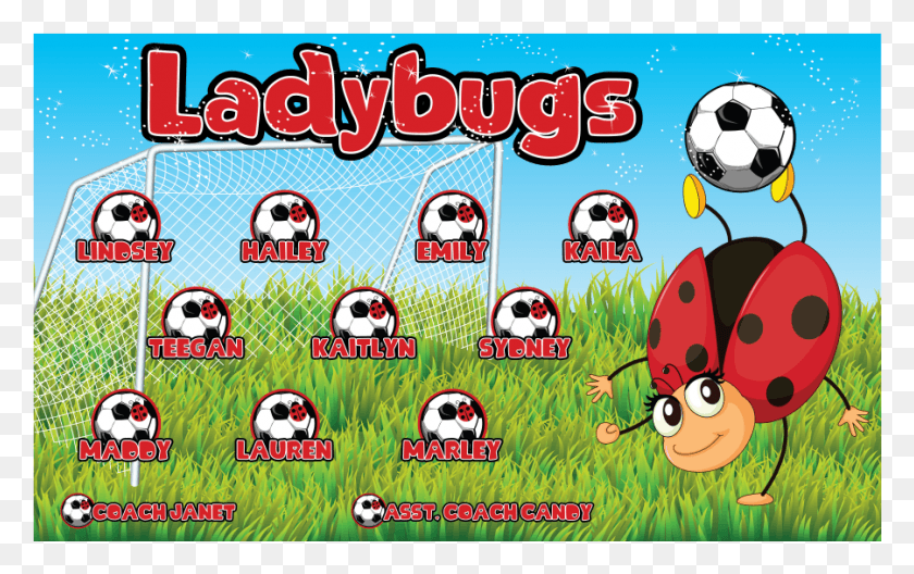 901x541 Vinyl Banner Ladybugs Cartoon, Soccer Ball, Ball, Soccer HD PNG Download
