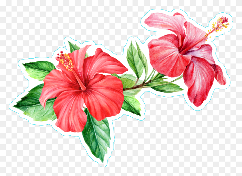 1200x847 Descargar Png Vinilo Coche Ventana Pegatinas De Flores Hawaianas Ramo De Flores De Vinilo Tropical, Hibisco, Flor, Planta Hd Png