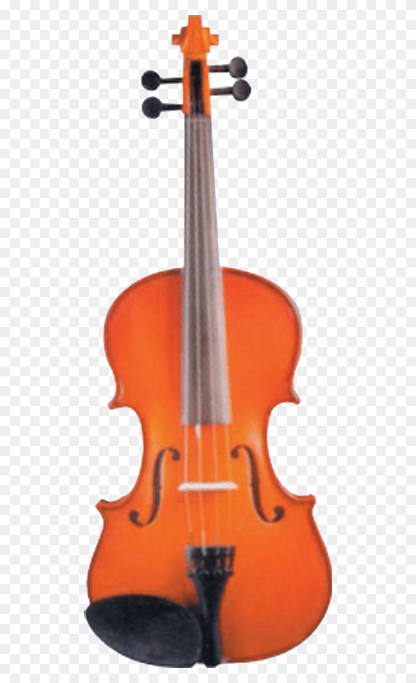 500x1319 Viola Violin, Musical Instrument, Leisure Activities, Fiddle HD PNG Download