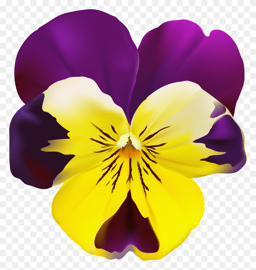 4587x4862 Violet Flower Transparent Clip Art Pansy Clip Art, Plant, Blossom, Iris HD PNG Download
