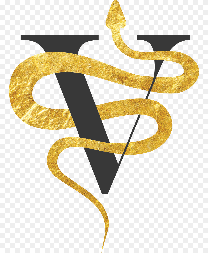768x1022 Virago Symbol Gold No Circle Virago Gallery, Text, Cross Clipart PNG