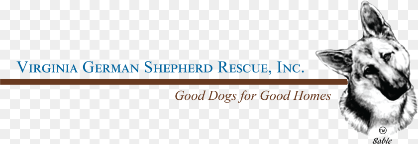 4899x1694 Virginia German Shepherd Rescue Language, Animal, Canine, Dog, German Shepherd Clipart PNG