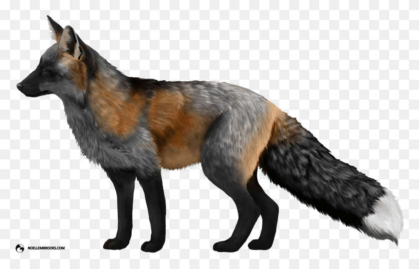 4140x2551 Virginia Police Confiscate Swiper The Ranched Fox Red And Silver Fox, Wildlife, Mammal, Animal HD PNG Download