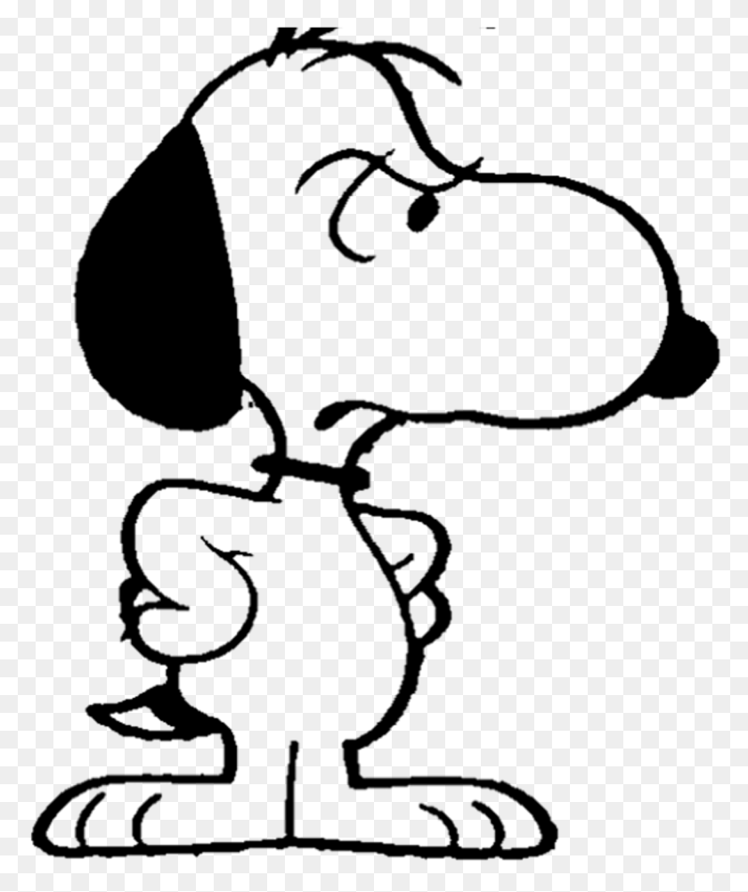 1256x1516 Документация По Виртуальным Вредителям Angry Angry Snoopy, Серый, Мир Варкрафта Png Скачать