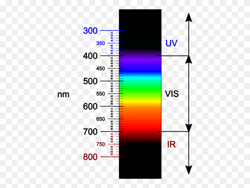 453x574 Visible Light Spectrum One Photon Vs Two Photons, Plot, Measurements, Diagram HD PNG Download