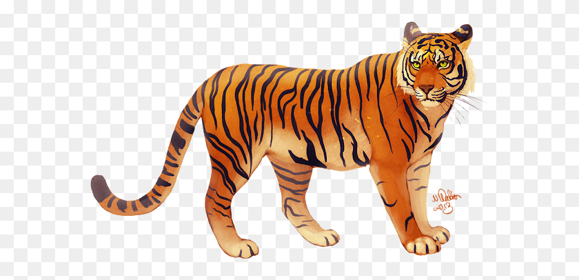 580x346 Visit Javan Tiger Drawing, Wildlife, Mammal, Animal HD PNG Download