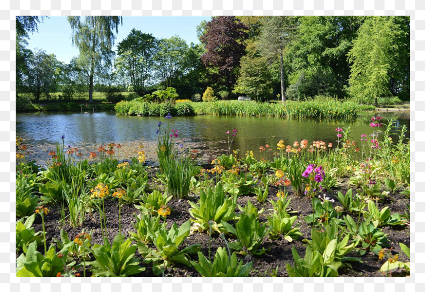 801x532 Visit To Winderwath Near Temple Sowerby Jane Pollock Fish Pond, Water, Nature, Outdoors HD PNG Download