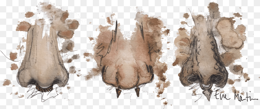 Visual Arts, Adult, Bride, Woman, Wedding Transparent PNG