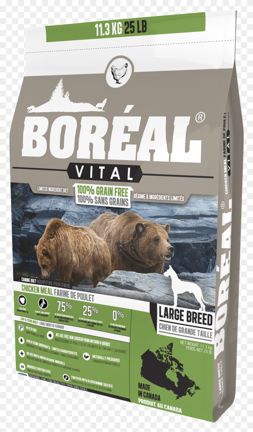 839x1476 Vital Large Breed Chicken Meal Croquette Chien Senior Boreal, Brown Bear, Bear, Wildlife HD PNG Download