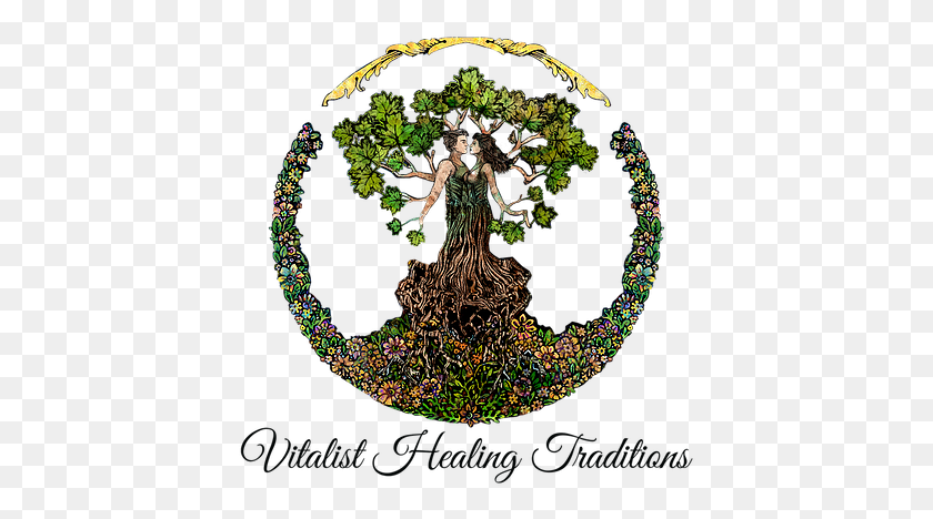 413x408 Vitalist Healing Logo For Wix Vol Graphic Design, Green, Plant, Vegetation HD PNG Download