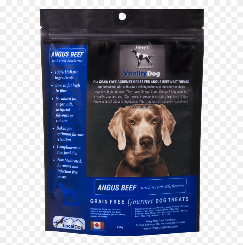572x787 Vitalitydog Perro De Compañía, Mascota, Canino, Animal Hd Png