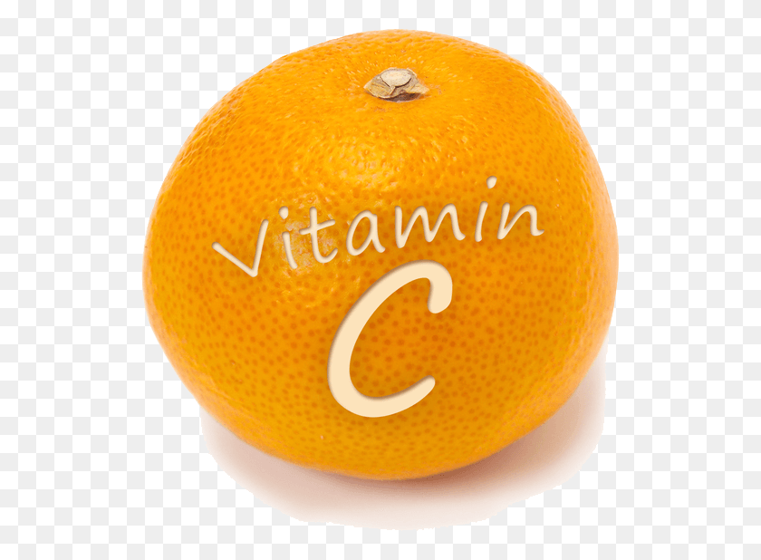 529x558 Vitamin Clipart Oranges Vitamin C, Citrus Fruit, Fruit, Plant HD PNG Download