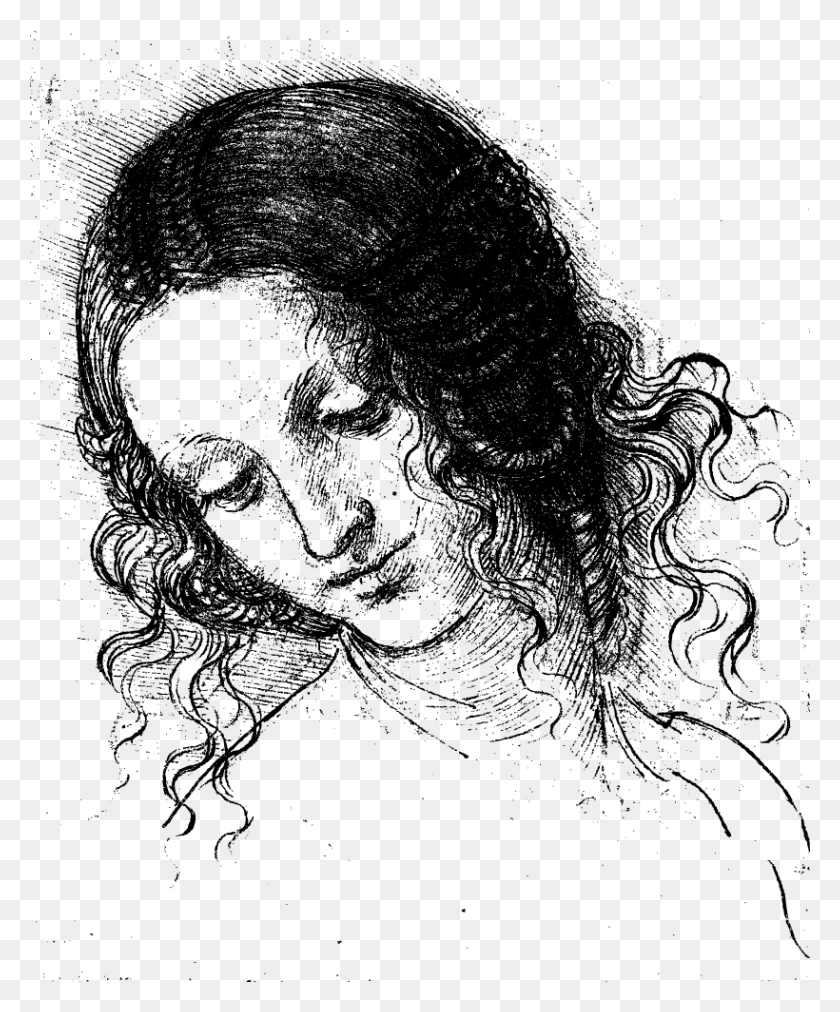 820x1001 Vitruvian Man Mona Lisa Leonardo Head Of Leda, Sketch HD PNG Download