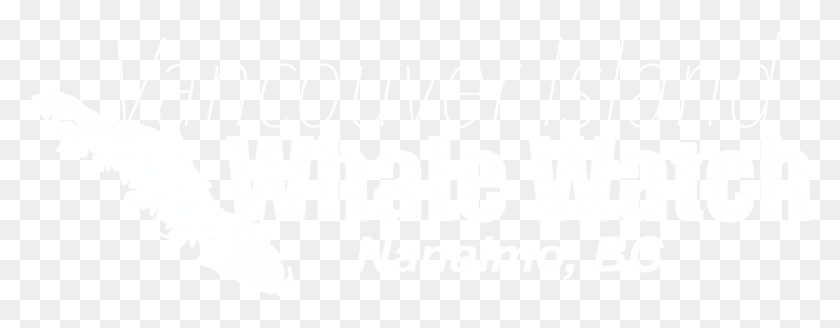 1001x344 Viwwlogo, Text, Word, Alphabet HD PNG Download