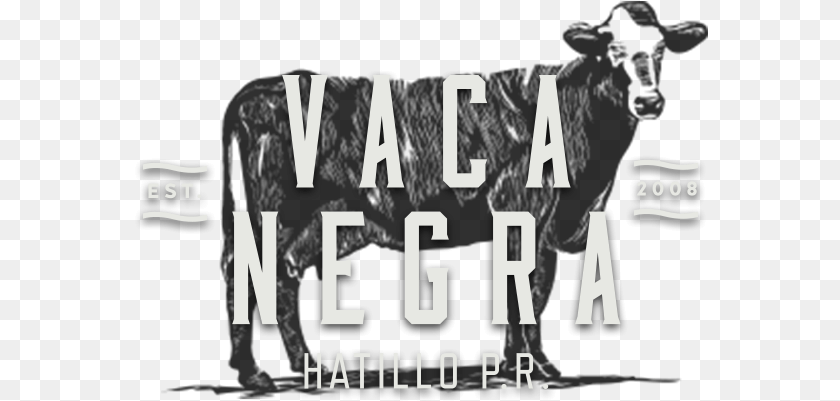 Vnvi Vaca Negra Hatillo Puerto Rico, Text, Scoreboard, Alphabet PNG