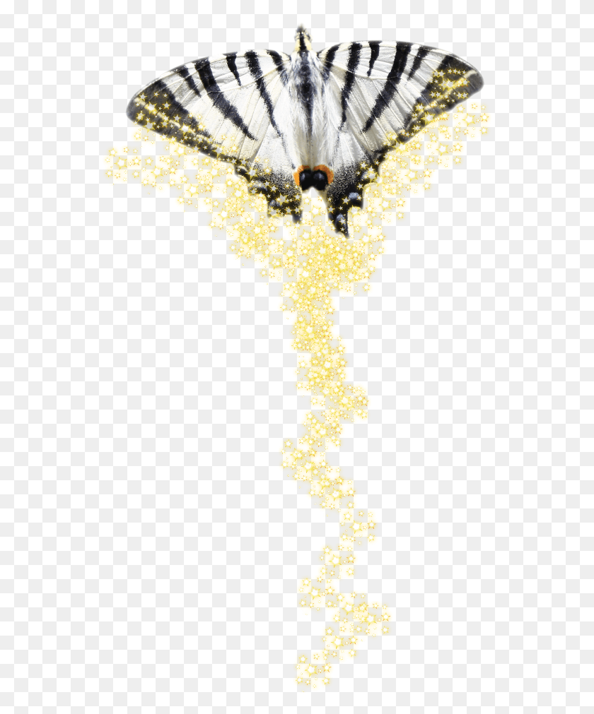 551x951 Volando Voyy Volando Vengo Vengo Papilio Machaon, Cross, Symbol, Light HD PNG Download
