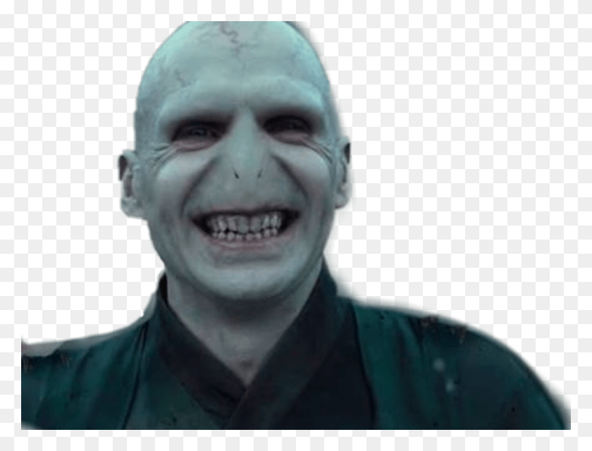 1024x762 Voldemort Sticker Voldemort Transparent, Head, Person, Human HD PNG Download