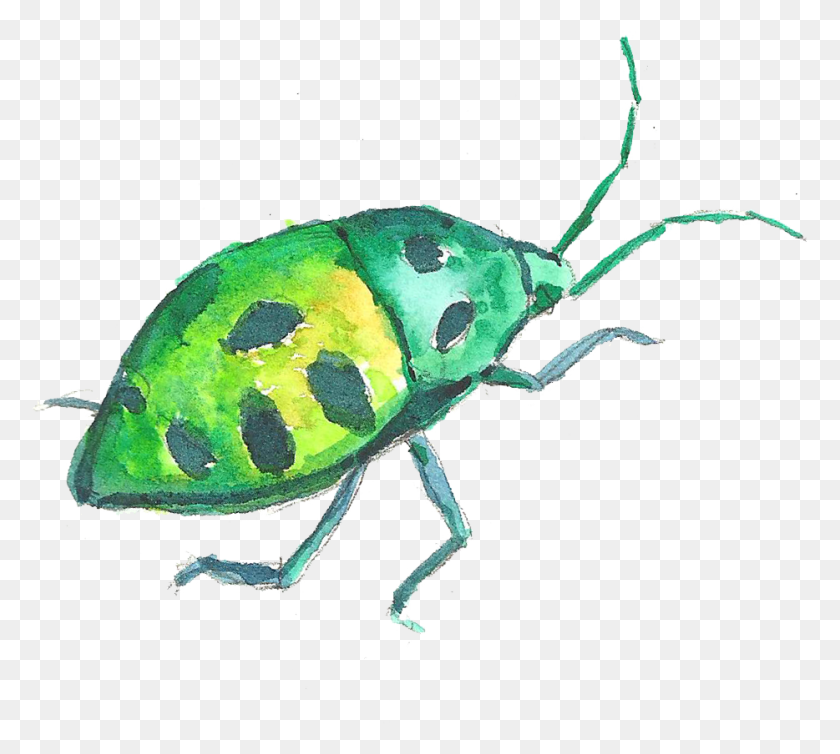 934x832 Volkswagen Beetle Watercolor Painting Watercolor Beetle Transparent, Turtle, Reptile, Sea Life HD PNG Download