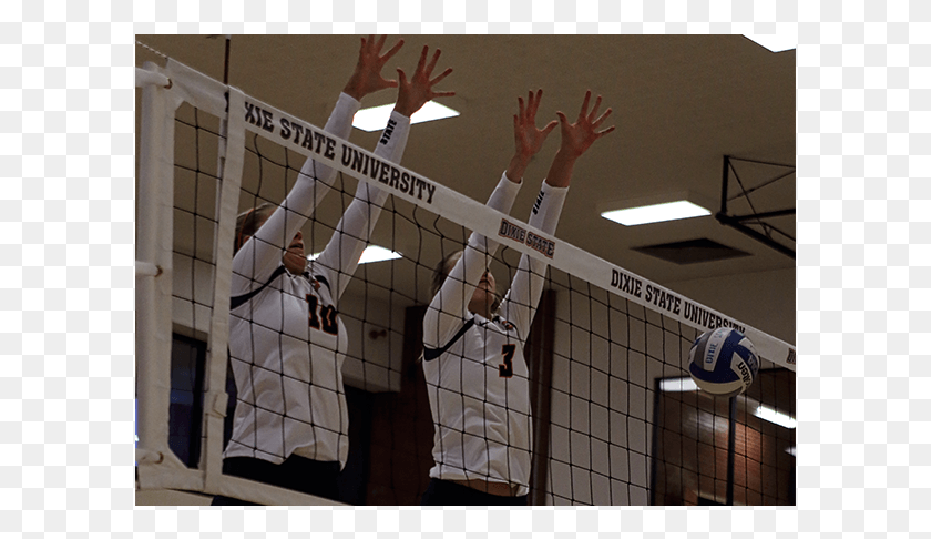 597x426 Volleyball Splits Final Matches At Csula Tourney Volleyball Net, Person, Human, Clothing HD PNG Download