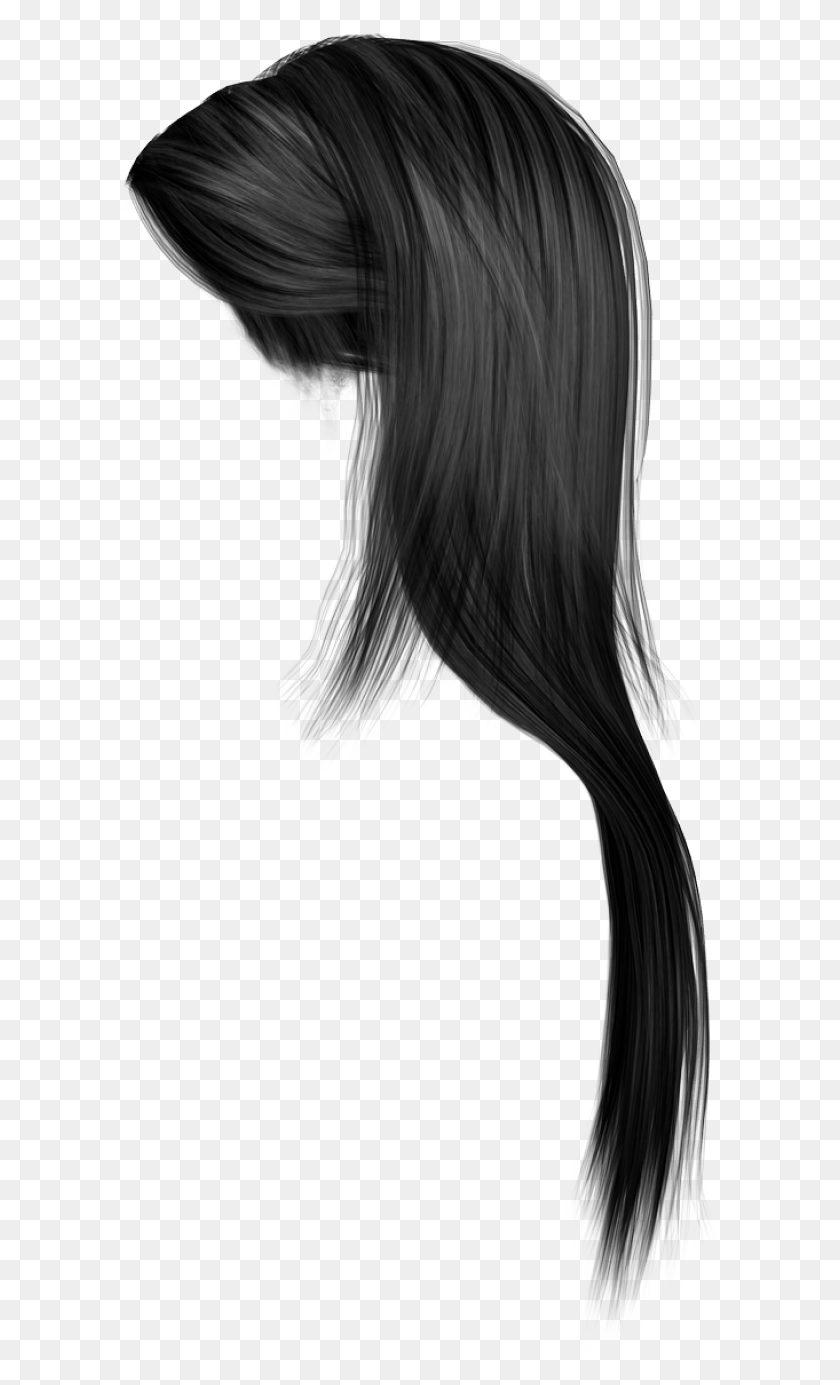 600x1325 Волосы Фото Девушка Волосы, Птица, Животное, Растение Hd Png Скачать