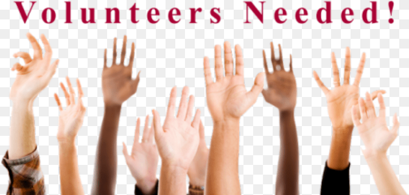 1408x673 Volunteers To Represent A Questions Student, Body Part, Finger, Hand, Person Clipart PNG