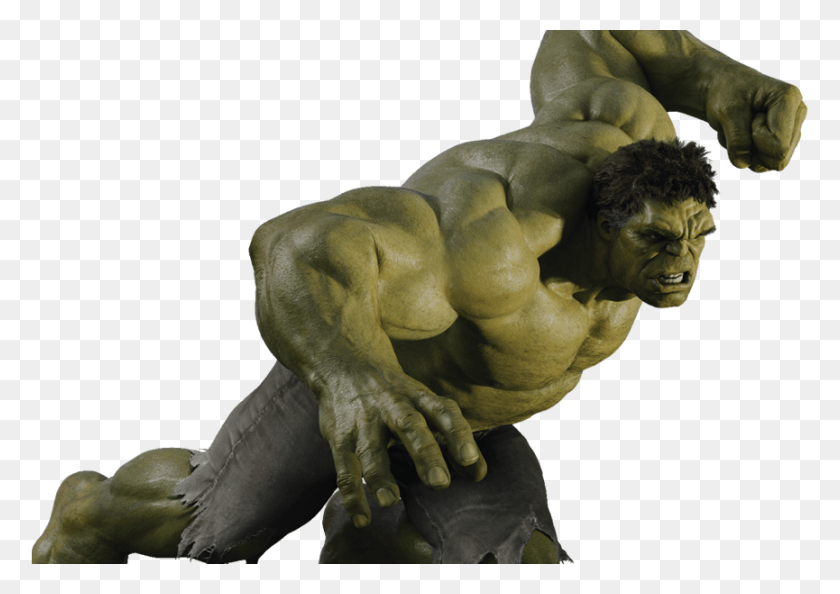 865x593 Vs Hulk Avengers Full Body, Sculpture, Plant HD PNG Download
