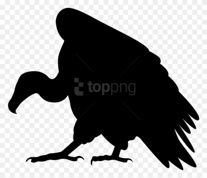 840x713 Vulture Silhouette Clip Art Image Vulture Silhouette Clip Art, Text, Outdoors, Flare HD PNG Download