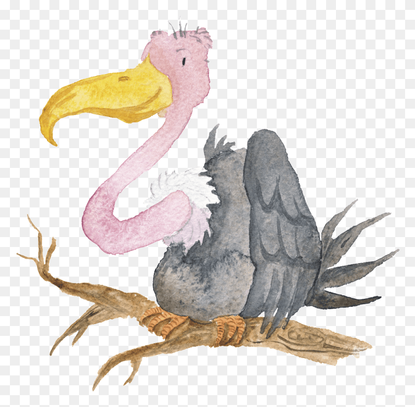 1006x986 Vulture Watercolor Illustration Vector Graphics, Animal, Bird, Fungus HD PNG Download