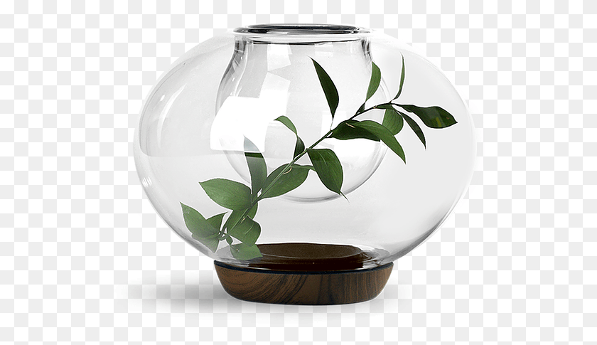 538x425 Vunder Barcelona Vase Is Ideal For Accenting Bouquets Vase, Bowl, Glass, Jar HD PNG Download