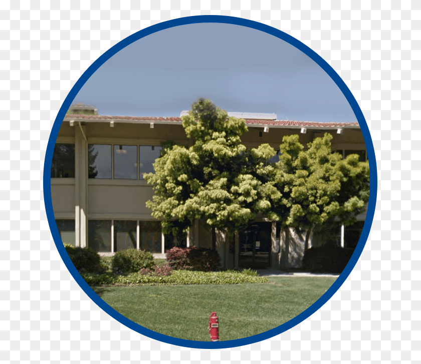 667x667 Vydence Medical Usa Office Eua 3340 Hillview Avenue House, Grass, Plant, Outdoors HD PNG Download
