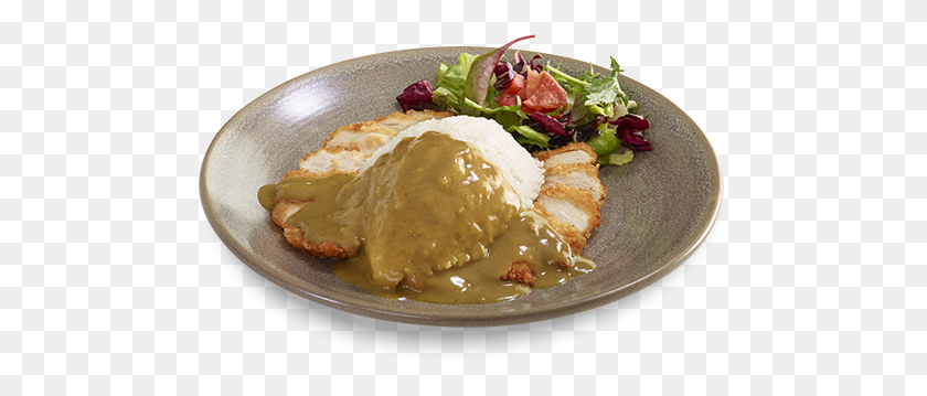 481x299 Wagamama Chicken Katsu Curry Chicken Katsu Curry Wagamama Calories, Dinner, Food, Supper HD PNG Download