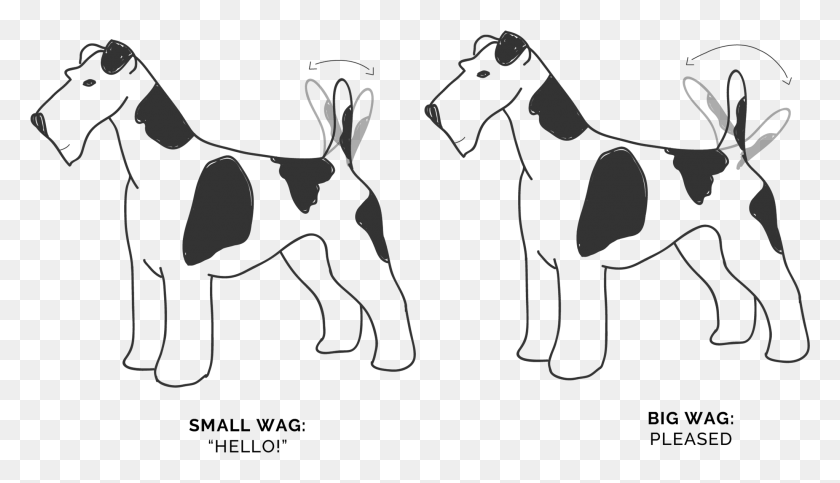 2049x1113 Wagging Tails Movement Ancient Dog Breeds, Stencil, Animal Descargar Hd Png