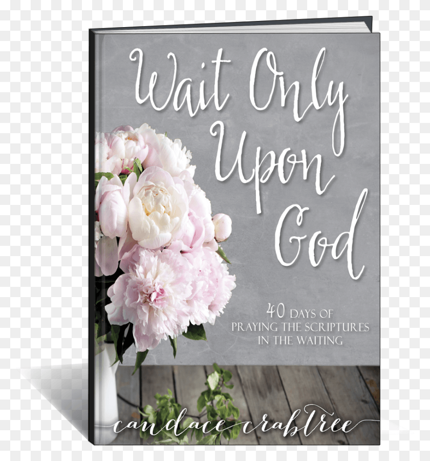 848x914 Wait Only Upon God Wait Only Upon God 40 Days Of Praying The Scriptures, Plant, Flower, Blossom HD PNG Download