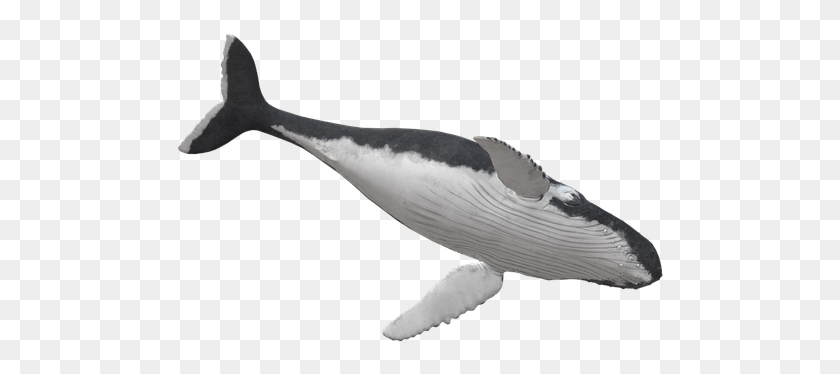 491x314 Wal Humpback Whale Animal Maritime Killer Whale, Axe, Tool, Sea Life HD PNG Download