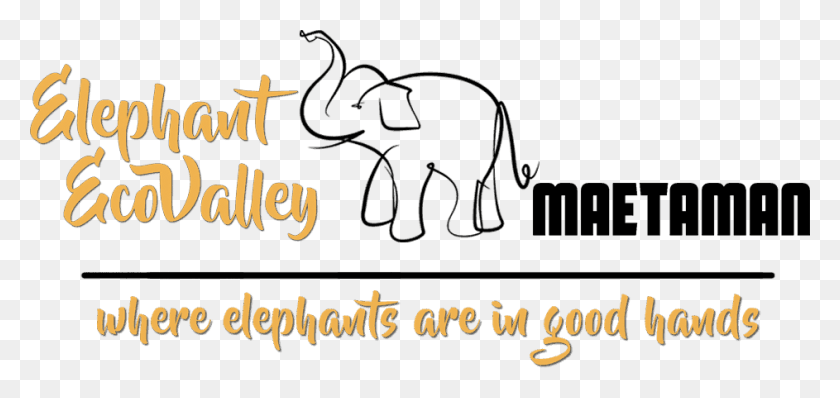 943x409 Walk With Elephants At Elephant Ecovalley The Eco Travel Indian Elephant, Text, Label, Alphabet HD PNG Download