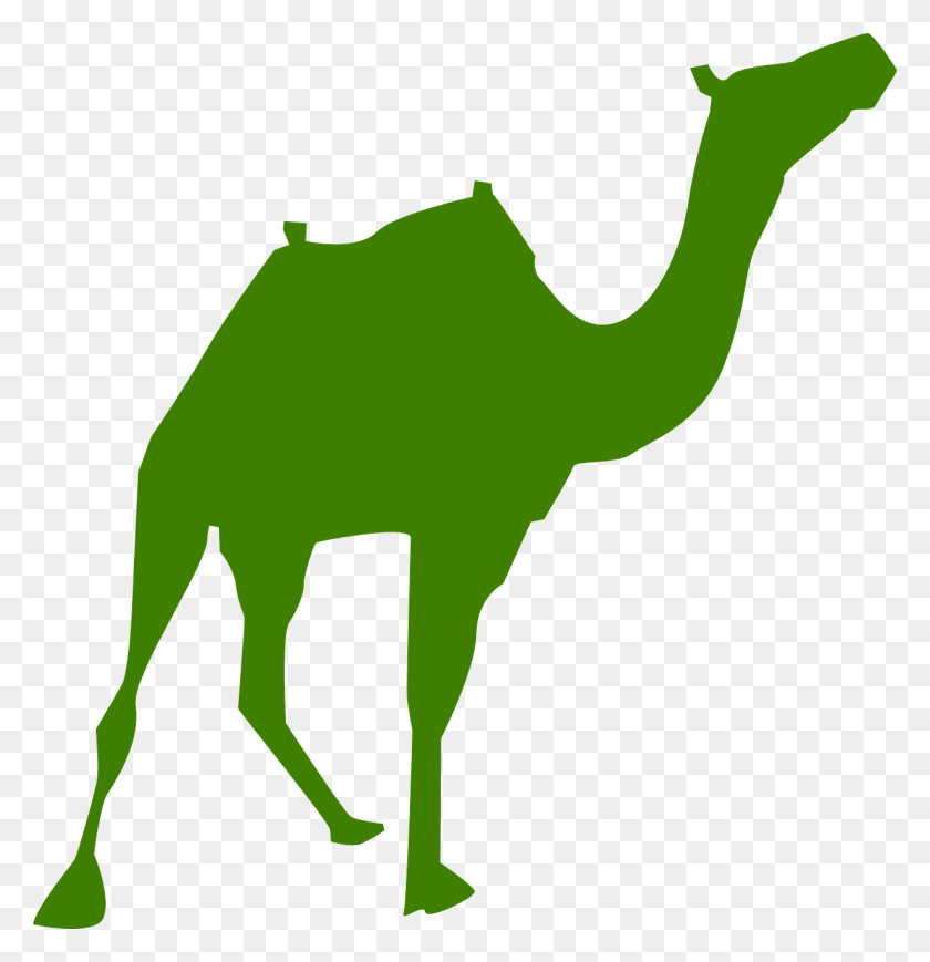 1234x1280 Walking Camel Silhouette Svg Clip Arts 576 X 597 Px, Animal, Mammal HD PNG Download