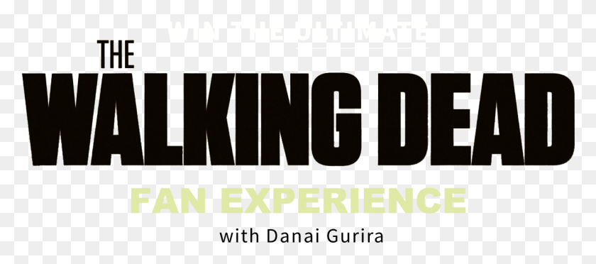 1239x496 Walking Dead Fan Experience Walking Dead, Word, Text, Alphabet Descargar Hd Png