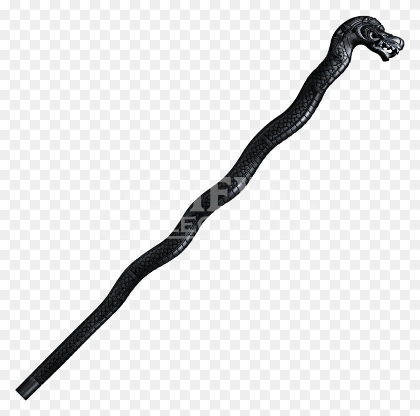 834x826 Walking Stick File Leg Of A Spider, Cane, Wand, Sword HD PNG Download