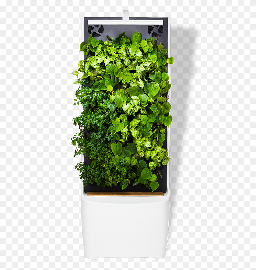 483x826 Wall Plug Green Furniture Smart Technologies Workplace Flowerpot, Plant, Potted Plant, Vase HD PNG Download