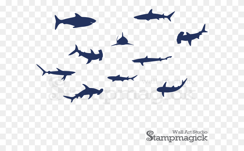 592x460 Wall Sticker Shark, Flock, Animal HD PNG Download