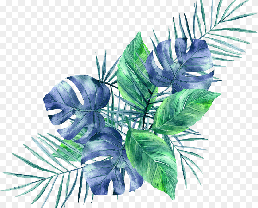 Wallpaper, Leaf, Plant, Art, Graphics PNG