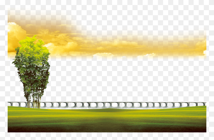 950x600 Обои Зеленое Прозрачное Дерево, Трава, Растение, На Открытом Воздухе Hd Png Скачать