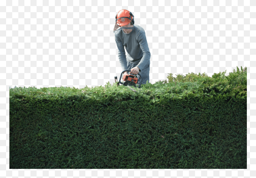 1025x690 Wallwork Amp Co Grass, Hedge, Plant, Fence HD PNG Download