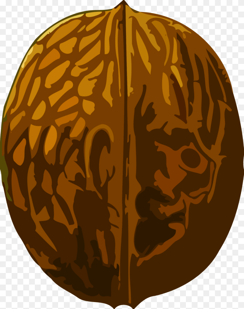 1516x1920 Walnut Food, Nut, Plant, Produce Clipart PNG