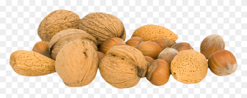 1054x371 Walnut Fruits And Nuts, Plant, Nut, Vegetable HD PNG Download