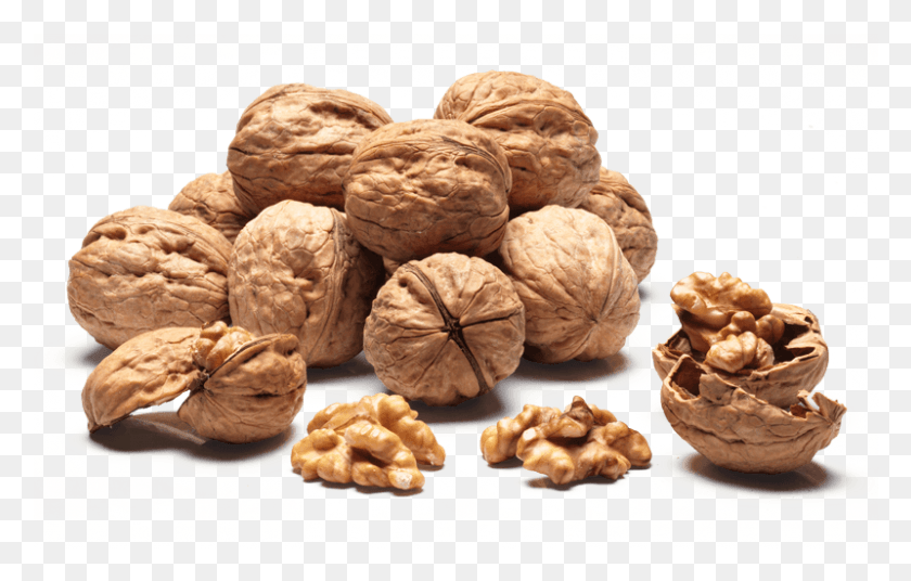 800x489 Walnuts Sorrento Walnut, Plant, Nut, Vegetable HD PNG Download
